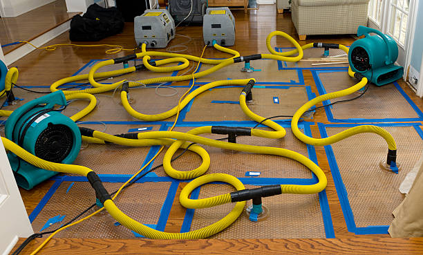 Professional Burst Pipe Water Damage technician working in Paris, IL
