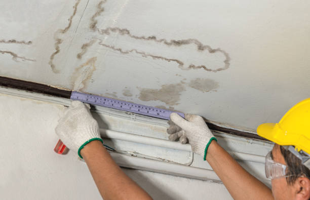 Affordable Water Damage Repair solutions in Paris, IL